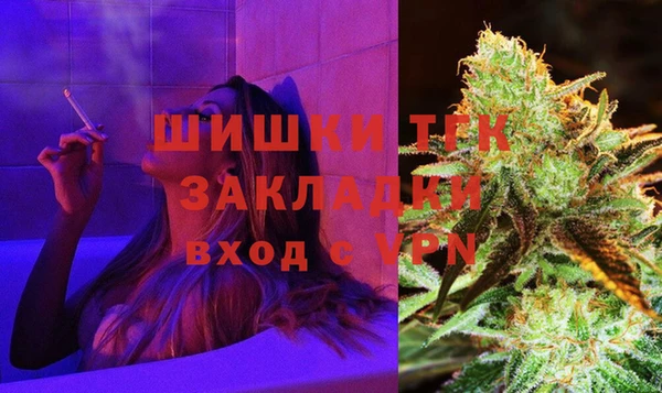 СК Бронницы