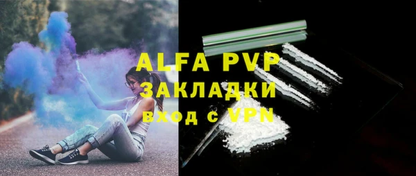 СК Бронницы