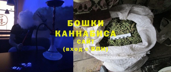 СК Бронницы