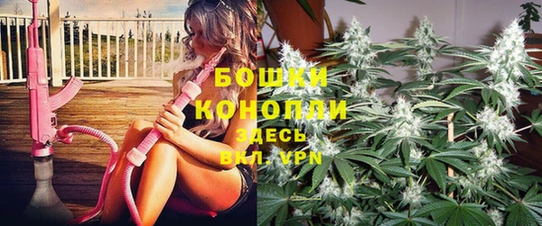 твердый Богородск