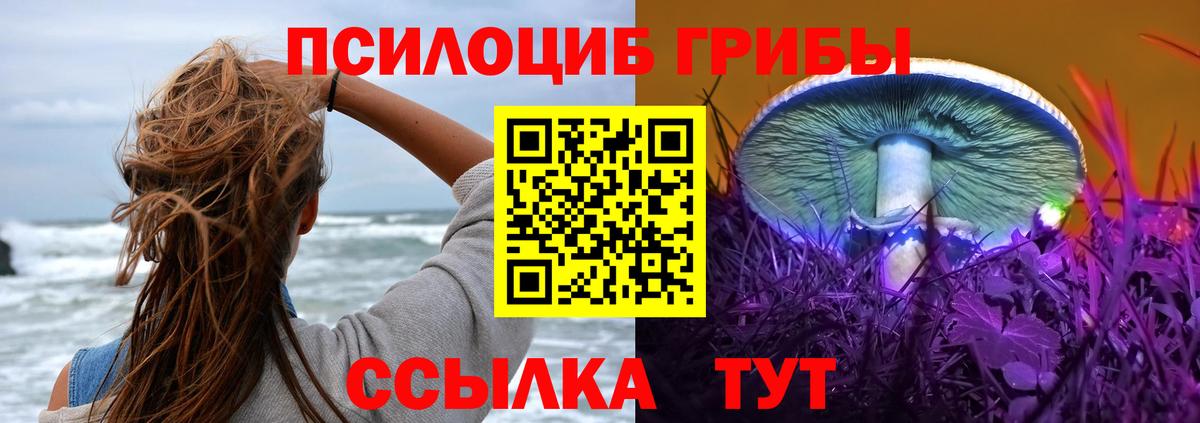 Псилоцибиновые грибы Psilocybine cubensis Валуйки