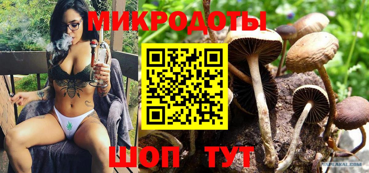 Валуйки  Псилоцибиновые грибы Psilocybe  Галлюциногенные грибы мухоморы  где купить наркотик  Вход с VPN 